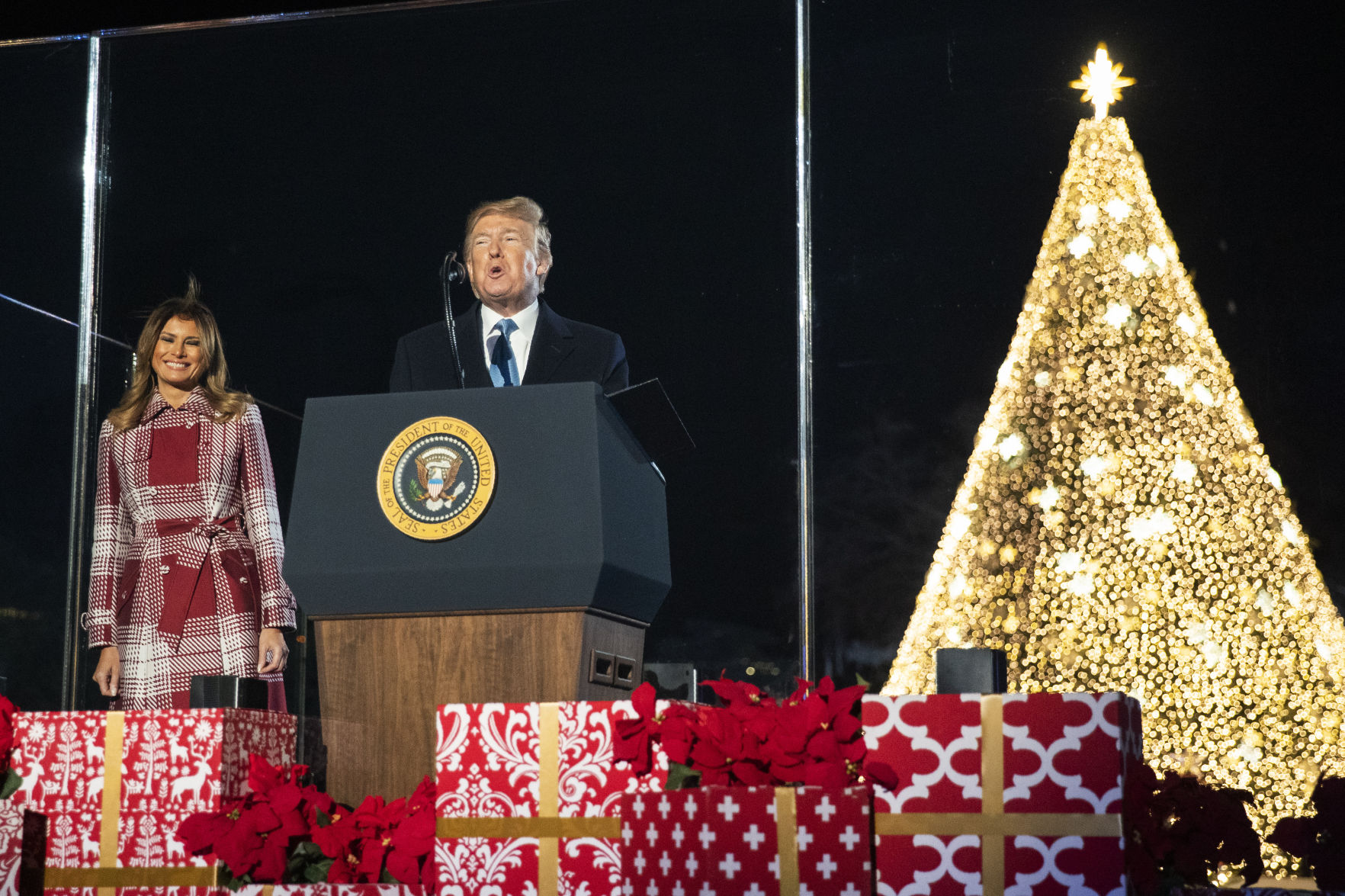 Trump Christmas Tree